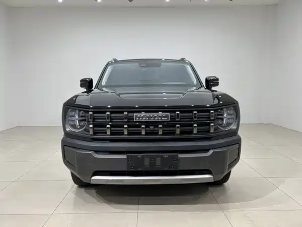 Haval Cool Dog 2023