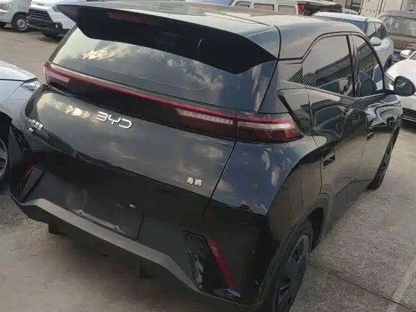 BYD Seagull 2024