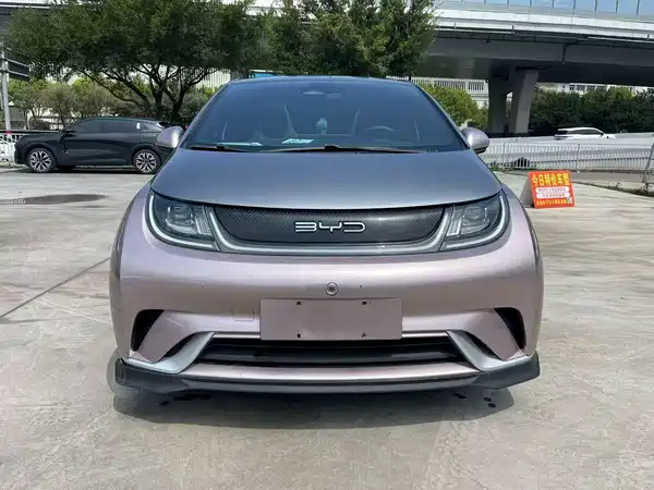 BYD Dolphin 2021
