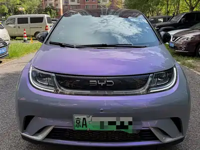 BYD Dolphin 2024