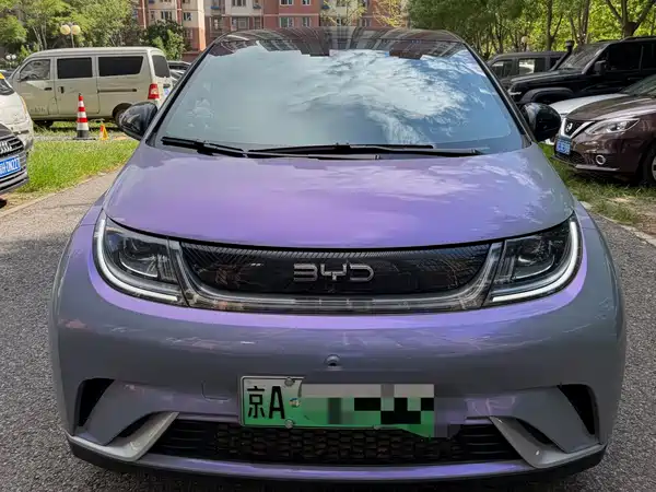 BYD Dolphin 2024