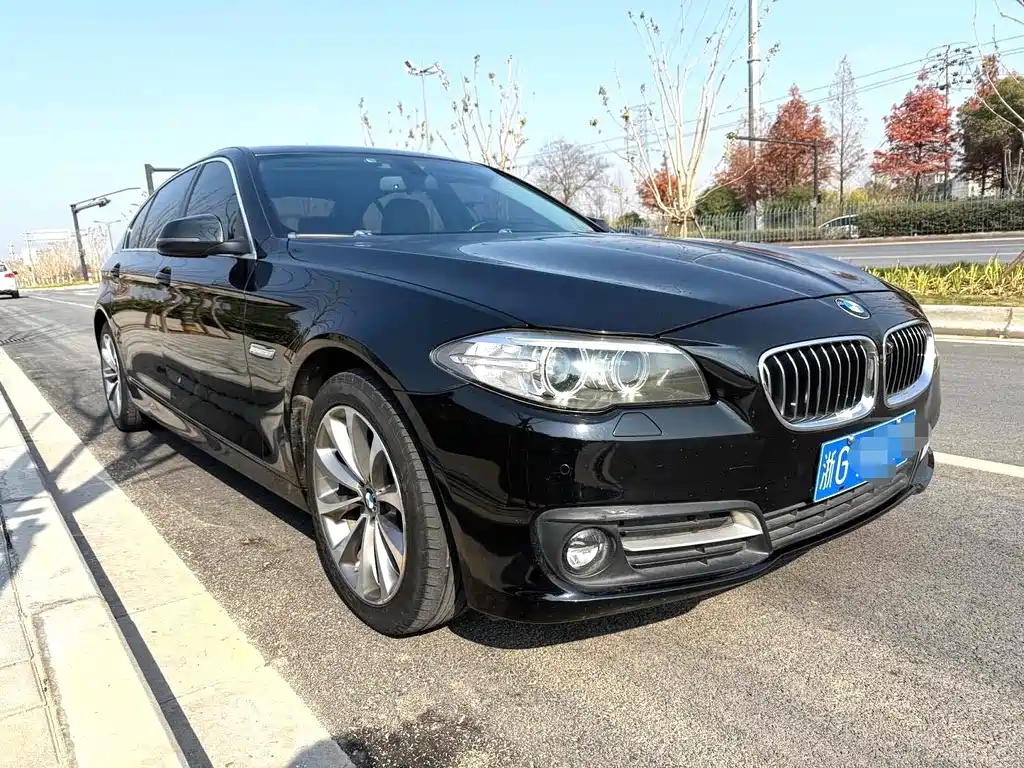 BMW 5 Series 2015 — фото 8