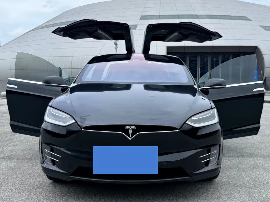 Tesla Model X 2017 — фото 10