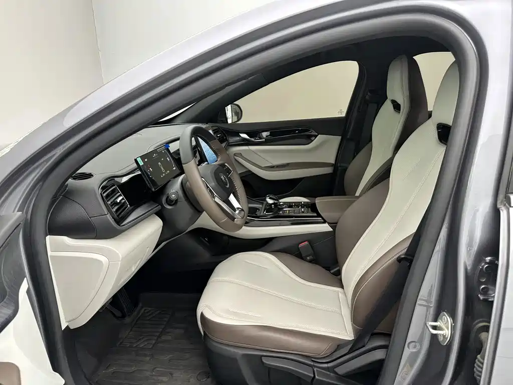 BYD Qin PLUS 2024 — фото 13