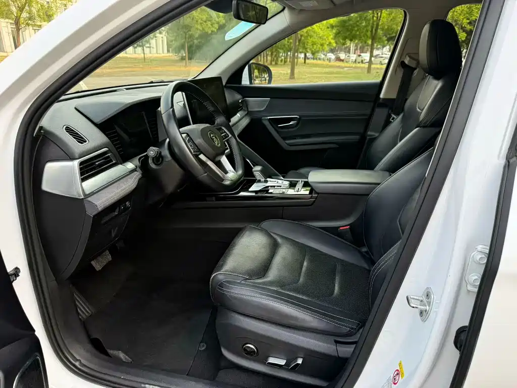 BYD Pro New Energy 2020 — фото 4