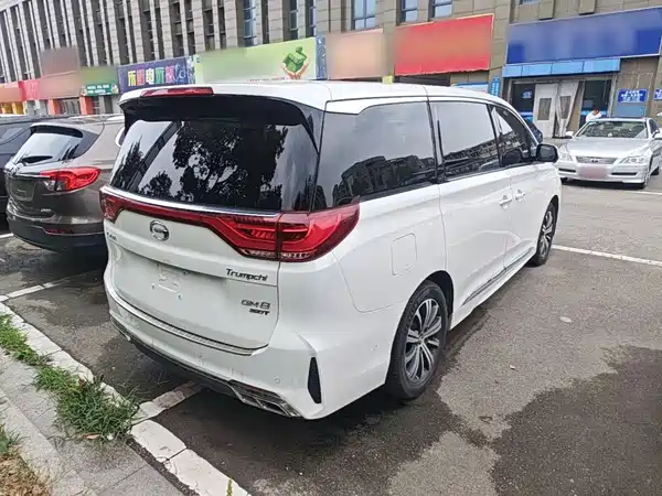 GAC Trumpchi M8 2020