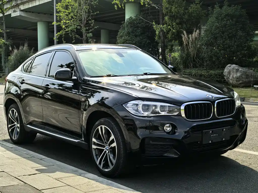 BMW X6 2018 — фото 3