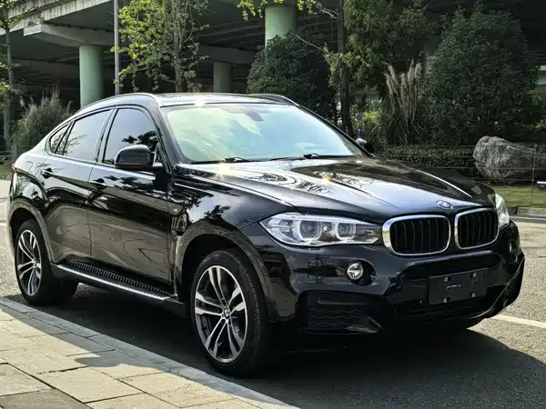 BMW X6 2018