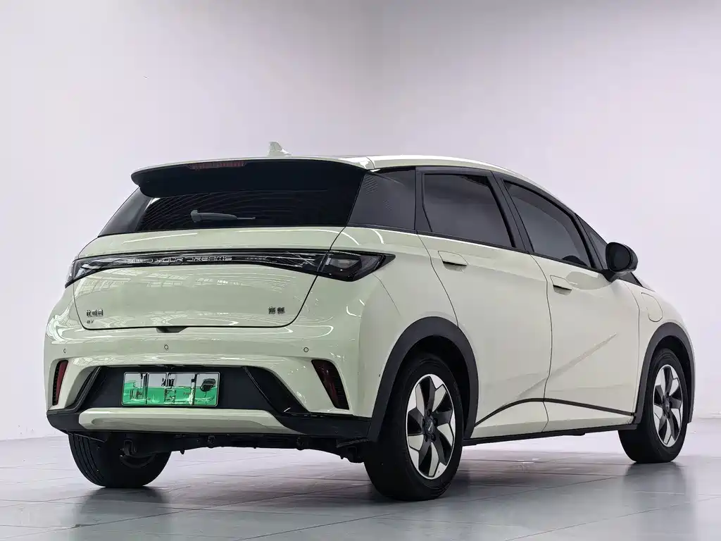 BYD Dolphin 2024