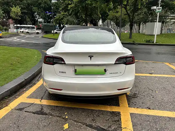 Tesla Model 3 2020