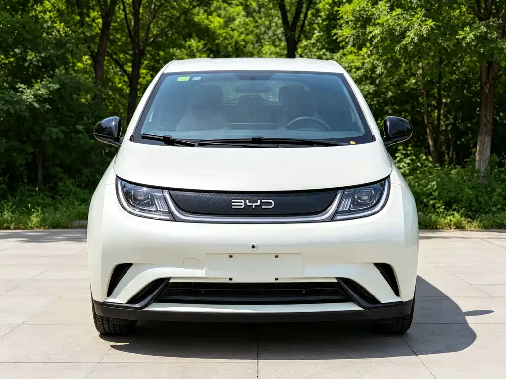 BYD Dolphin 2025