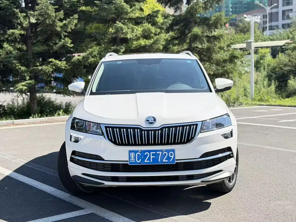 Skoda Karoq 2022 — фото 2