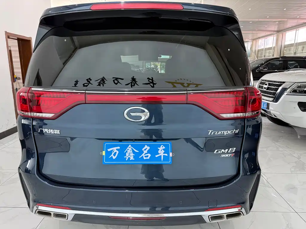 GAC Motor Trumpchi M8 2020 — фото 18