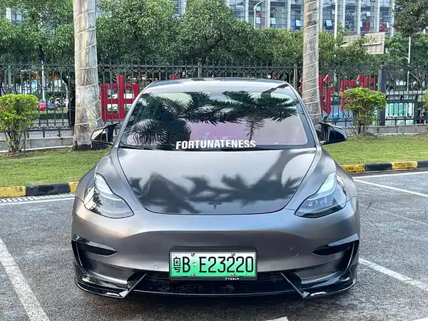 Tesla Model 3 2021