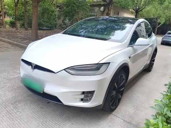 Tesla Model X 2020