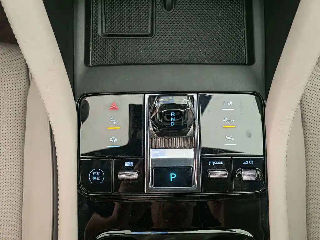 BYD PLUS New Energy 2025 — фото 10