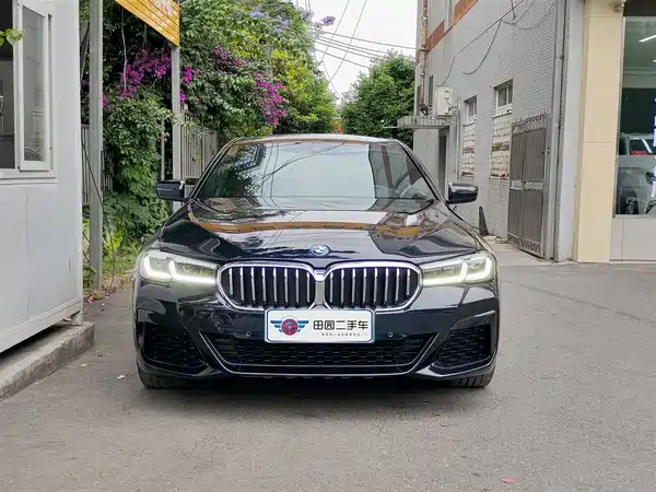 BMW 5 Series New Energy 2021