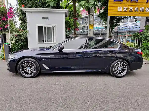 BMW 5 Series New Energy 2021