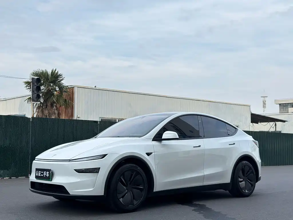 Tesla Model Y 2025 — фото 1