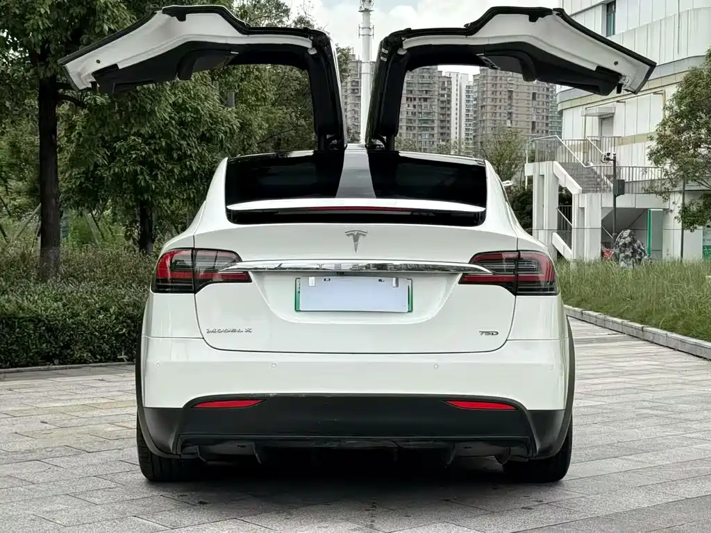 Tesla Model X 2017 — фото 8