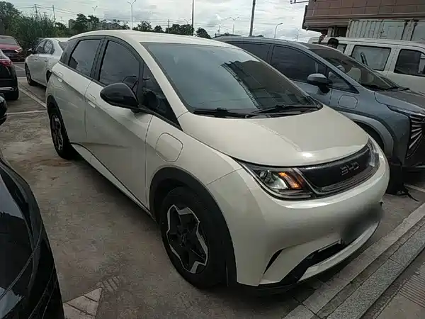 BYD Dolphin 2024