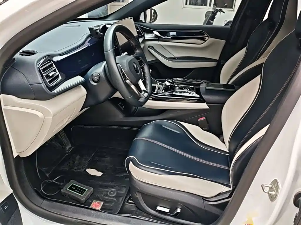 BYD Qin PLUS 2021 — фото 15