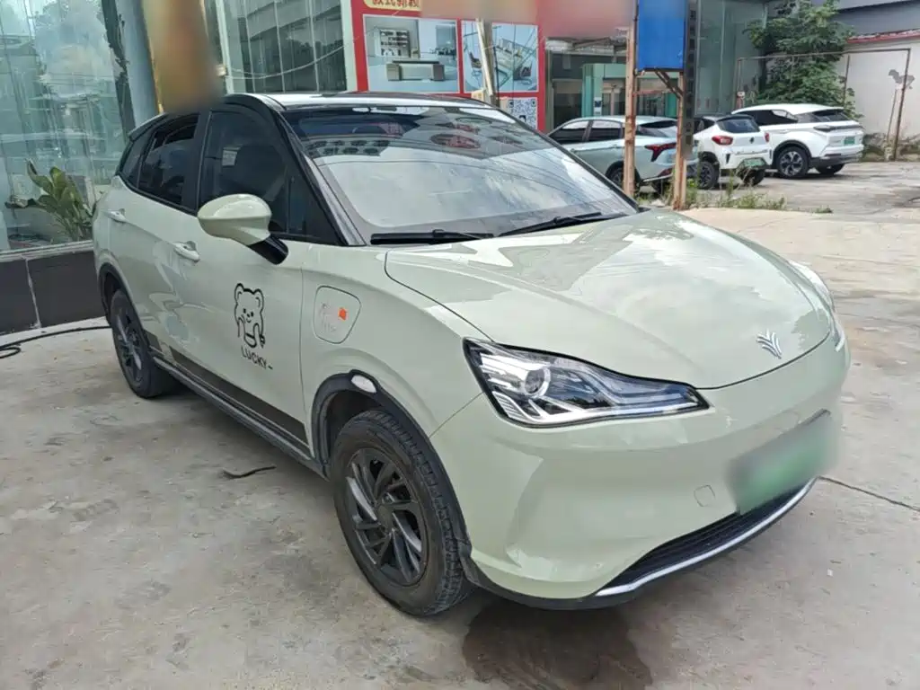 Neta V 2022