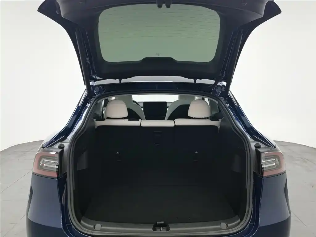 Tesla Model Y 2021 — фото 16