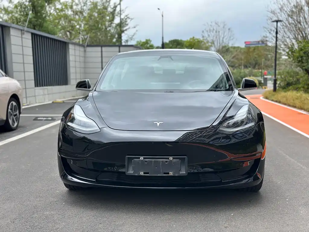 Tesla Model 3 2020 — фото 2
