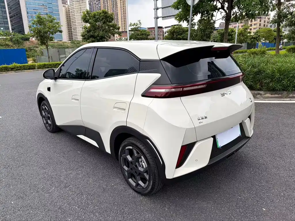 BYD Seagull 2025
