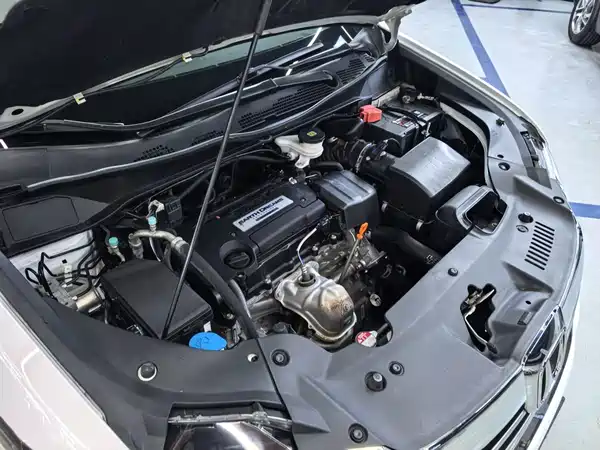Honda Elysion 2018