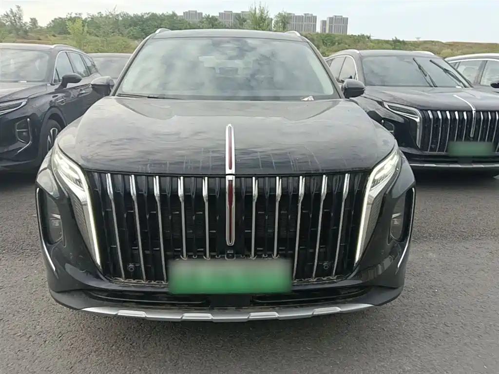 Hongqi HS7 PHEV 2024 — фото 3