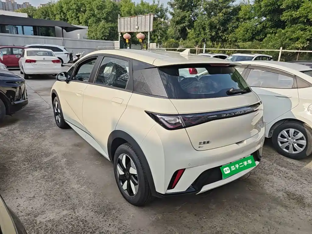 BYD Dolphin 2026