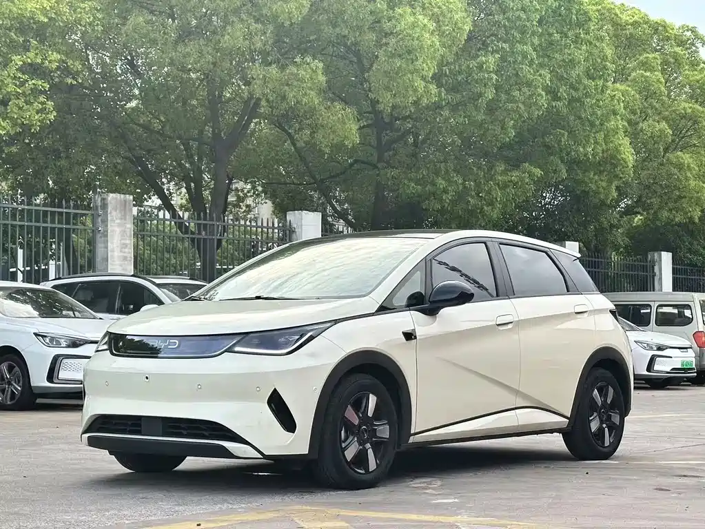BYD Dolphin 2025 — фото 1