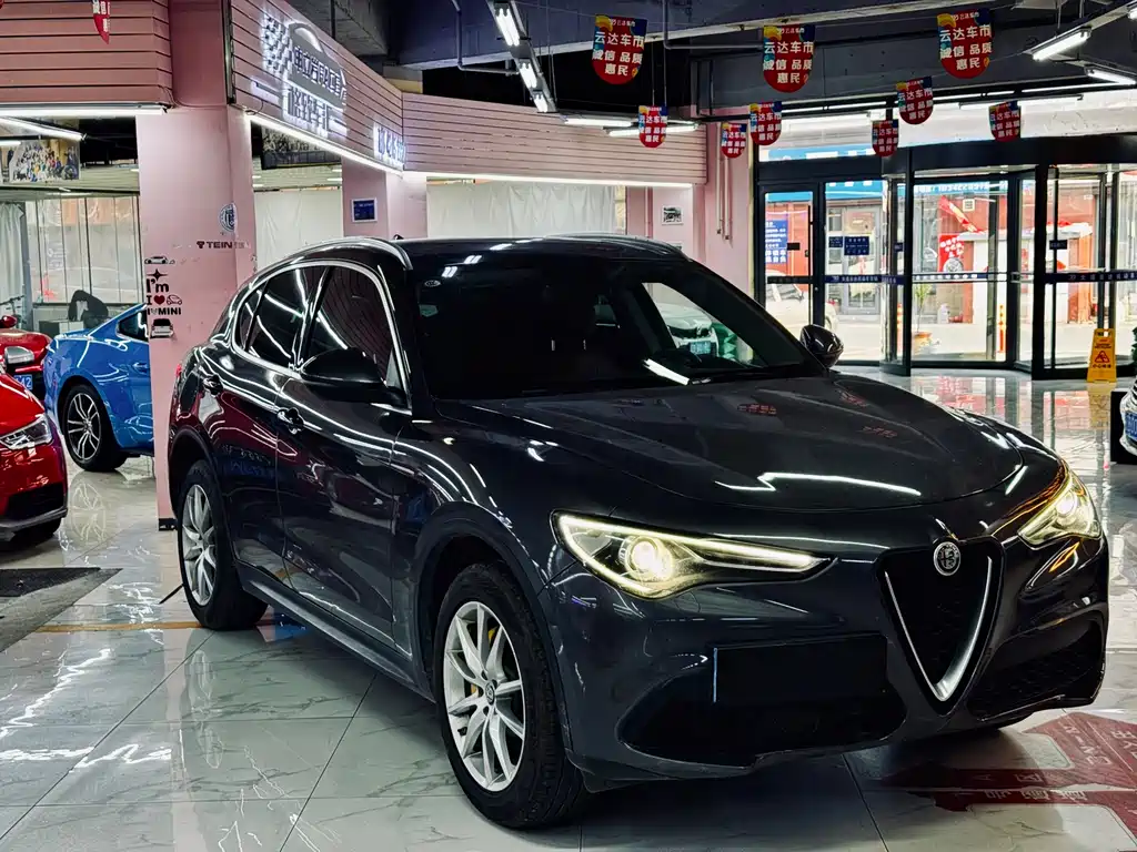 Alfa Romeo Stelvio 2019 — фото 13