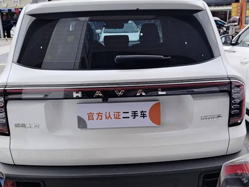 Haval Big Dog 2024 — фото 4