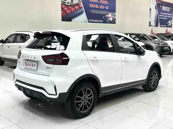 Livan Ruilan Automobile X3 PRO 2022