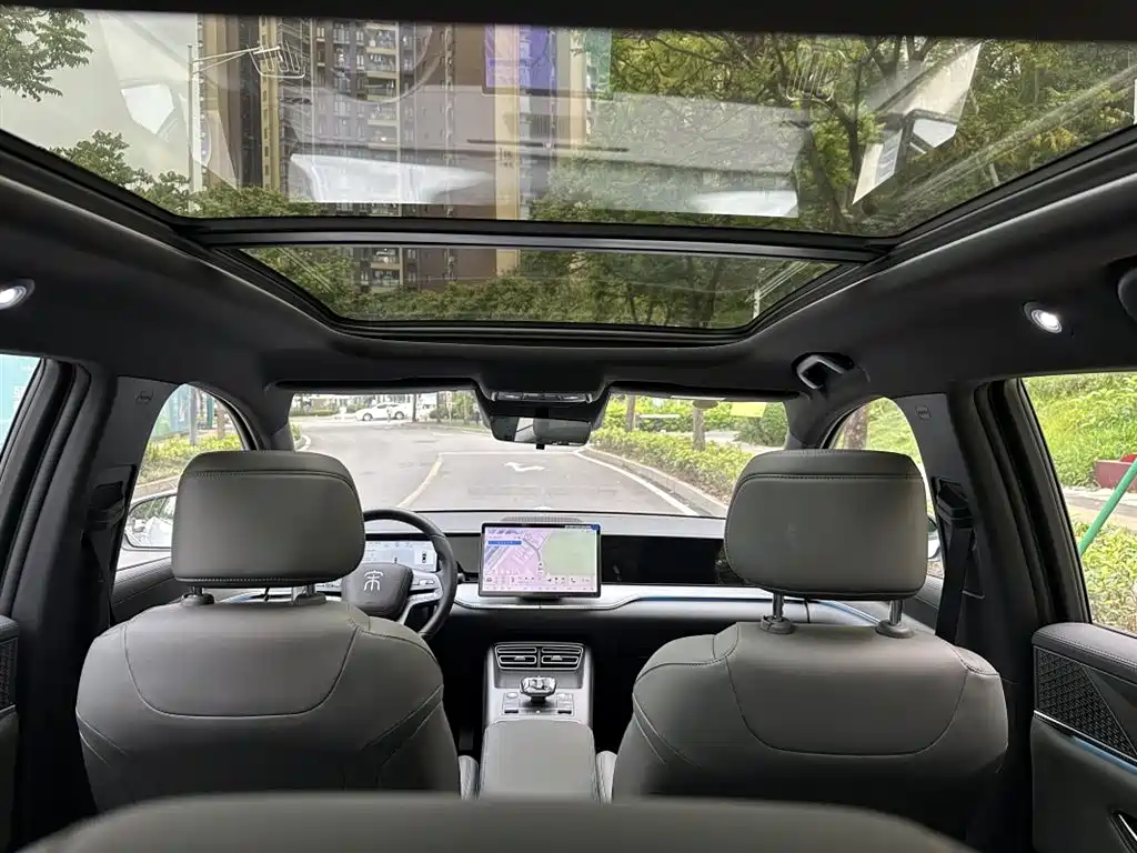 BYD Pro New Energy 2025 — фото 13