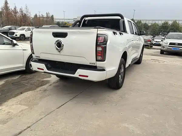 Great Wall Poer 2023