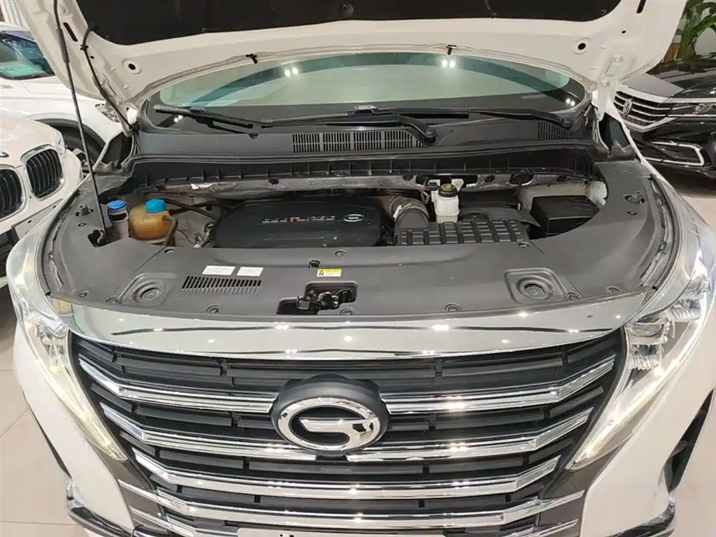 GAC Motor Trumpchi M8 2021 — фото 20