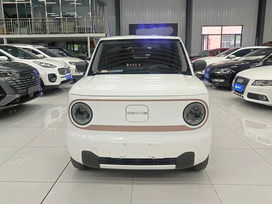 Geely Galaxy Panda 2025