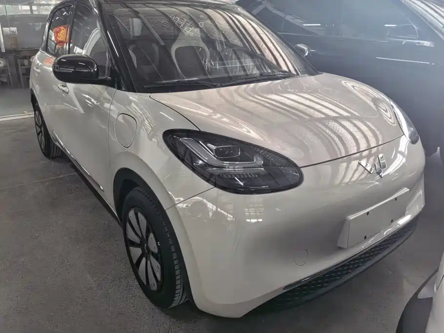 Wuling Bingo 2024
