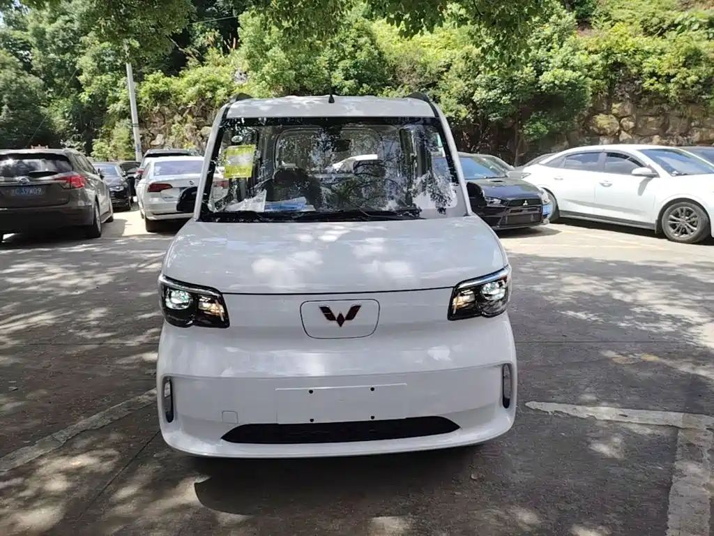 Wuling Zhiguang New Energy 2026