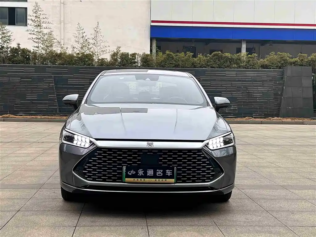 BYD Qin PLUS 2024 — фото 2