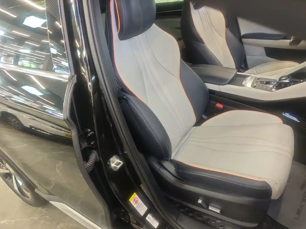 BYD Song PLUS New Energy 2022 — фото 25