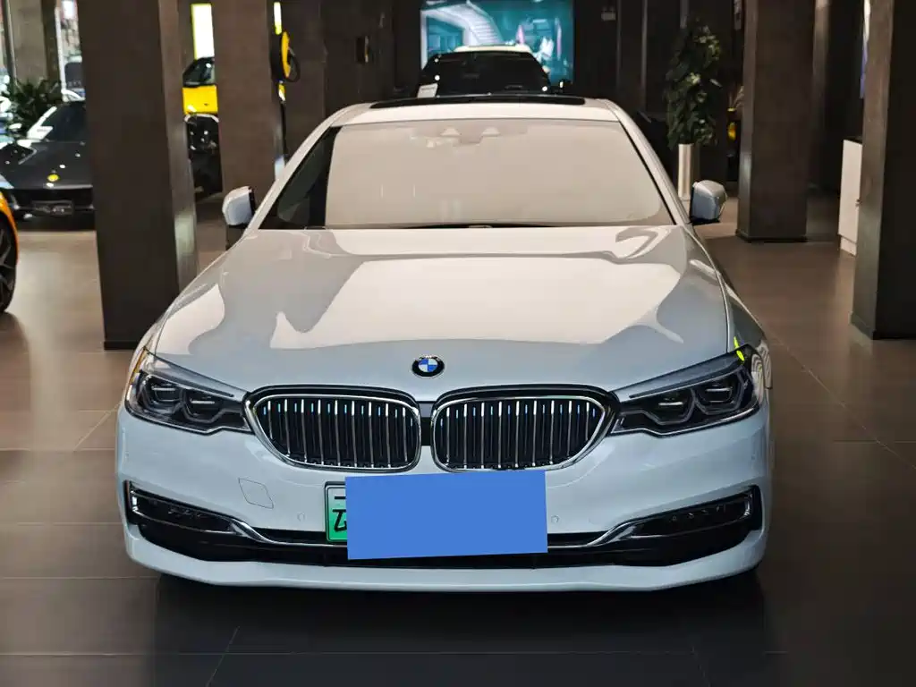 BMW 5 Series New Energy 2018