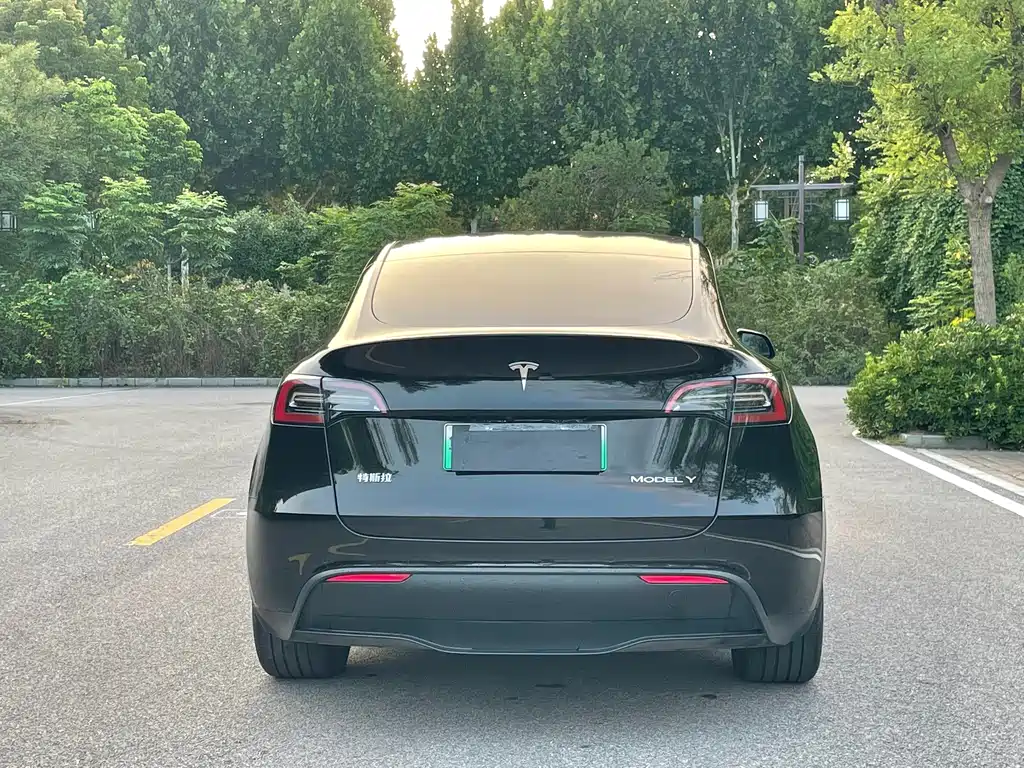 Tesla Model Y 2023 — фото 5