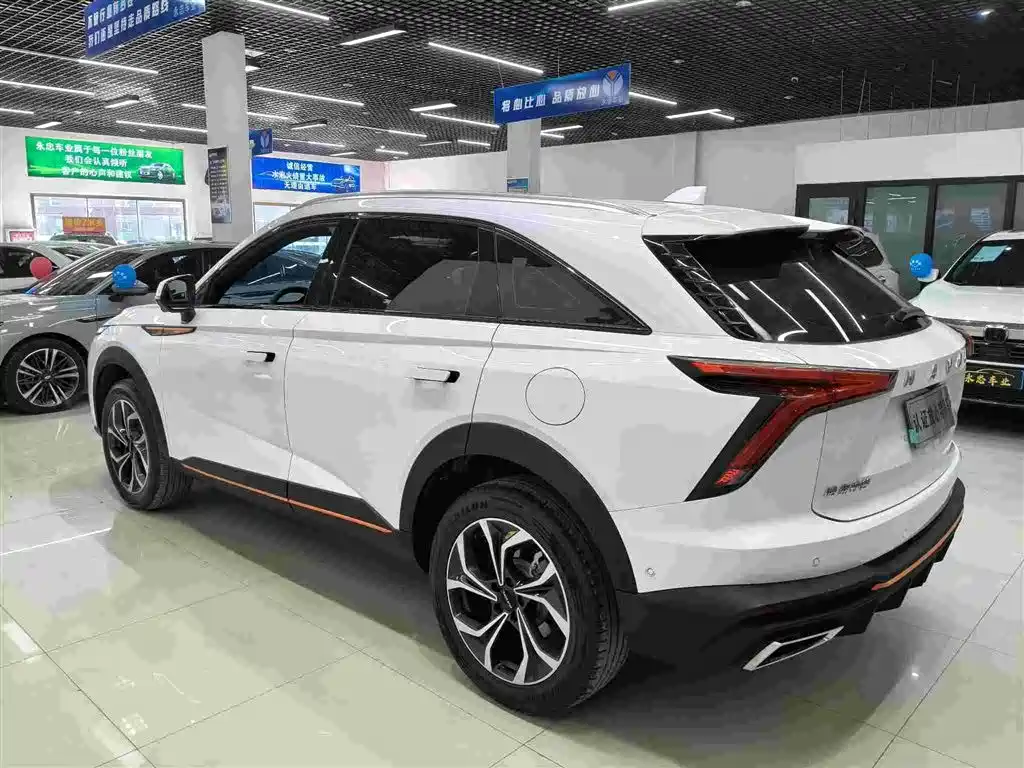 Haval Shenshou 2022 — фото 4