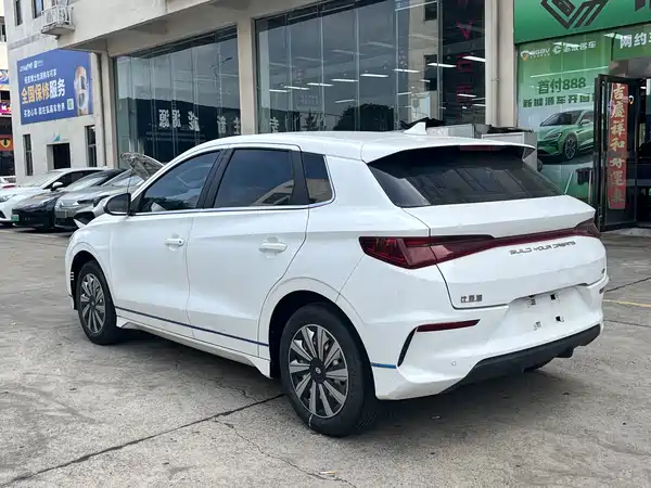 BYD e2 2019