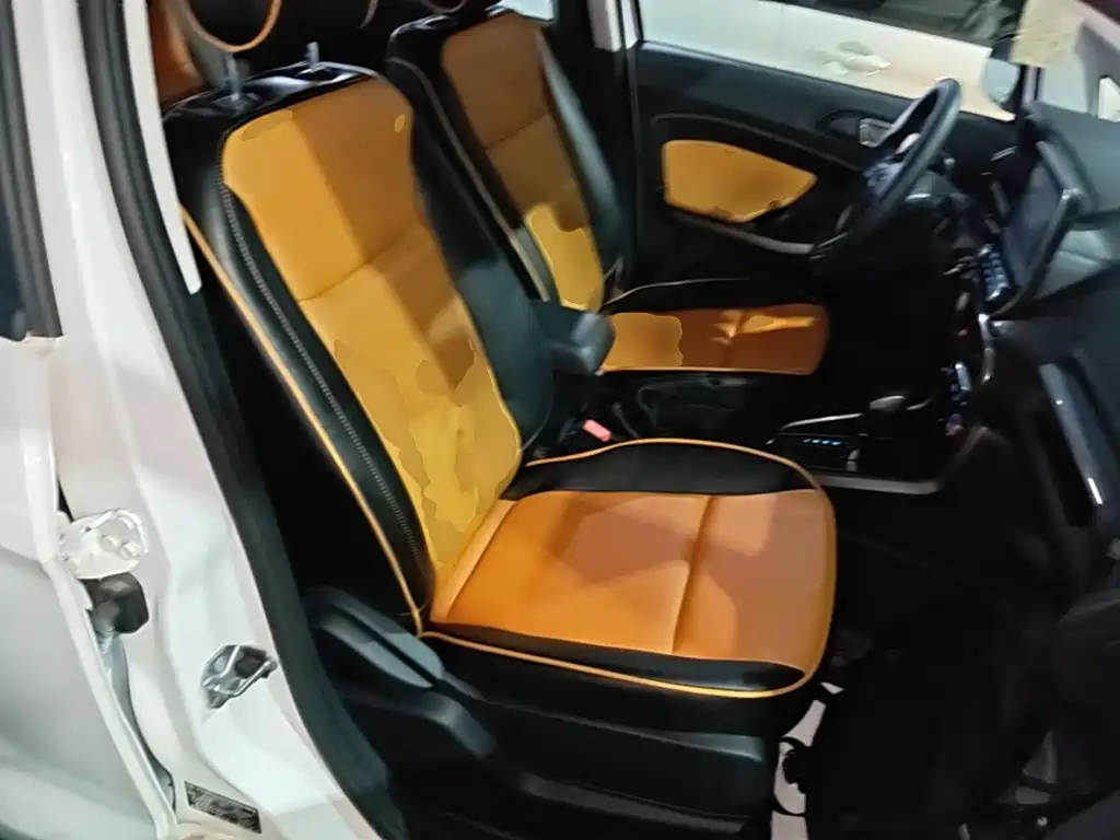 Ford EcoSport 2018 — фото 25